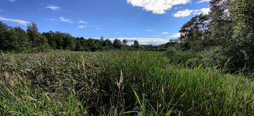 Photo of Laurier Woods Conservation Area - Brule St, North Bay, ON P1A 3Z5